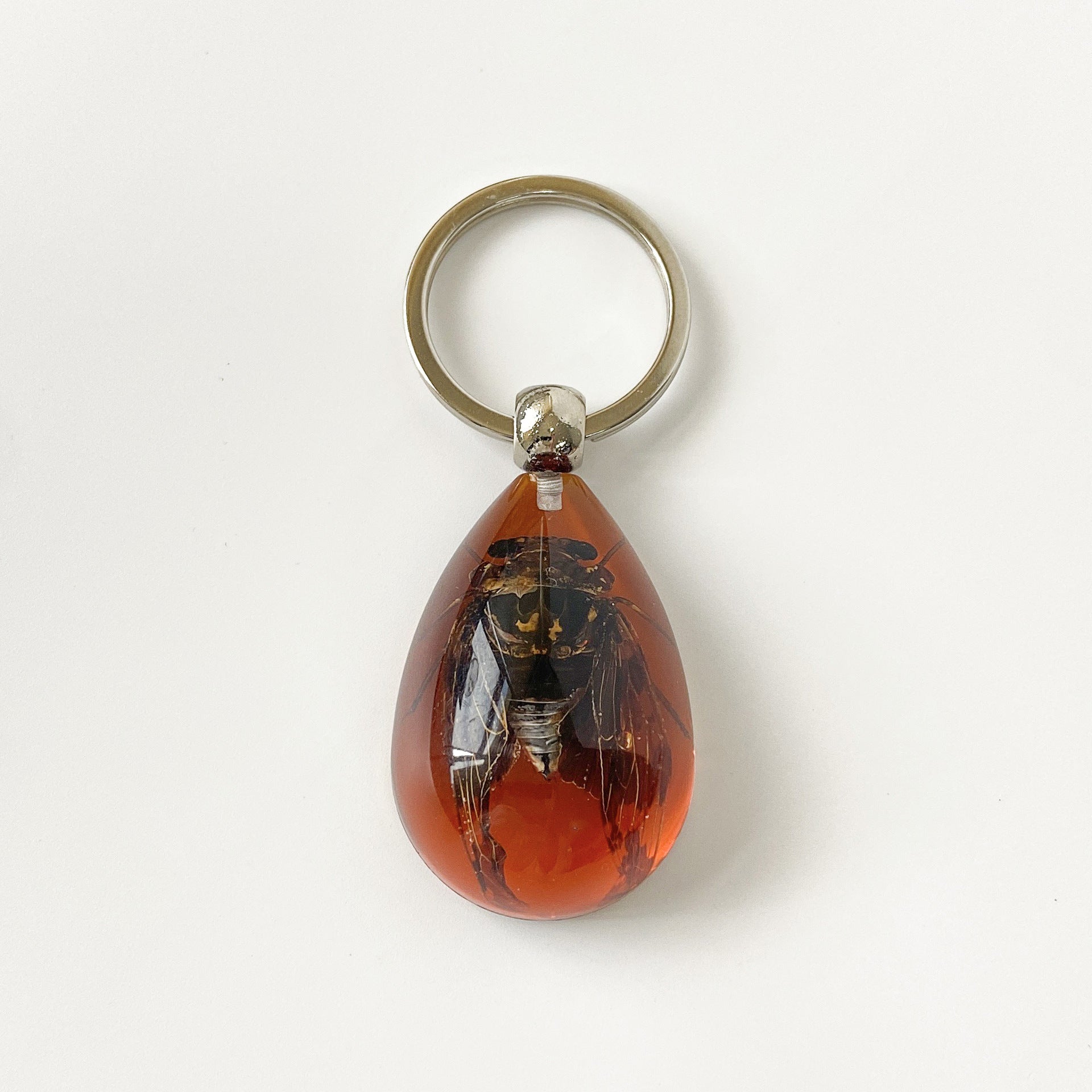 Wholesale 6pcs/pack Insect Specimen Amber Keychain