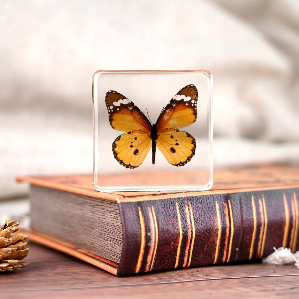 Wholesale Epoxy Butterfly Spreading Wings Resin Specimen