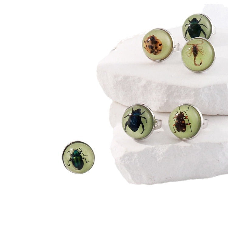 Wholesale 12pcs Luminous Fashion Real Insect Scorpion Resin Rings
