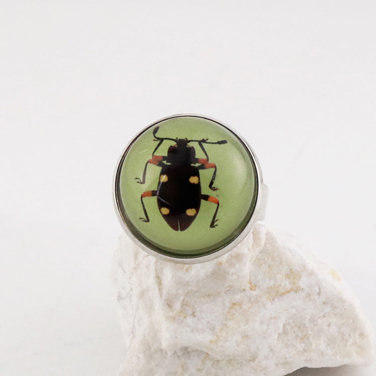 Wholesale 12pcs Luminous Fashion Real Insect Scorpion Resin Rings