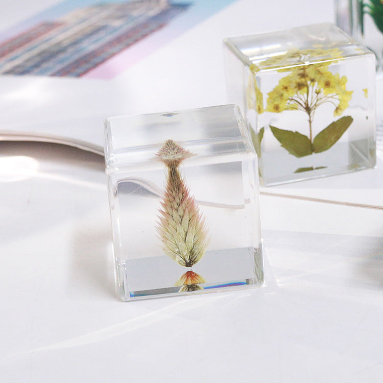 Wholesale 6pcs Cube Real Dried Flower Desktop Crafts Ornaments