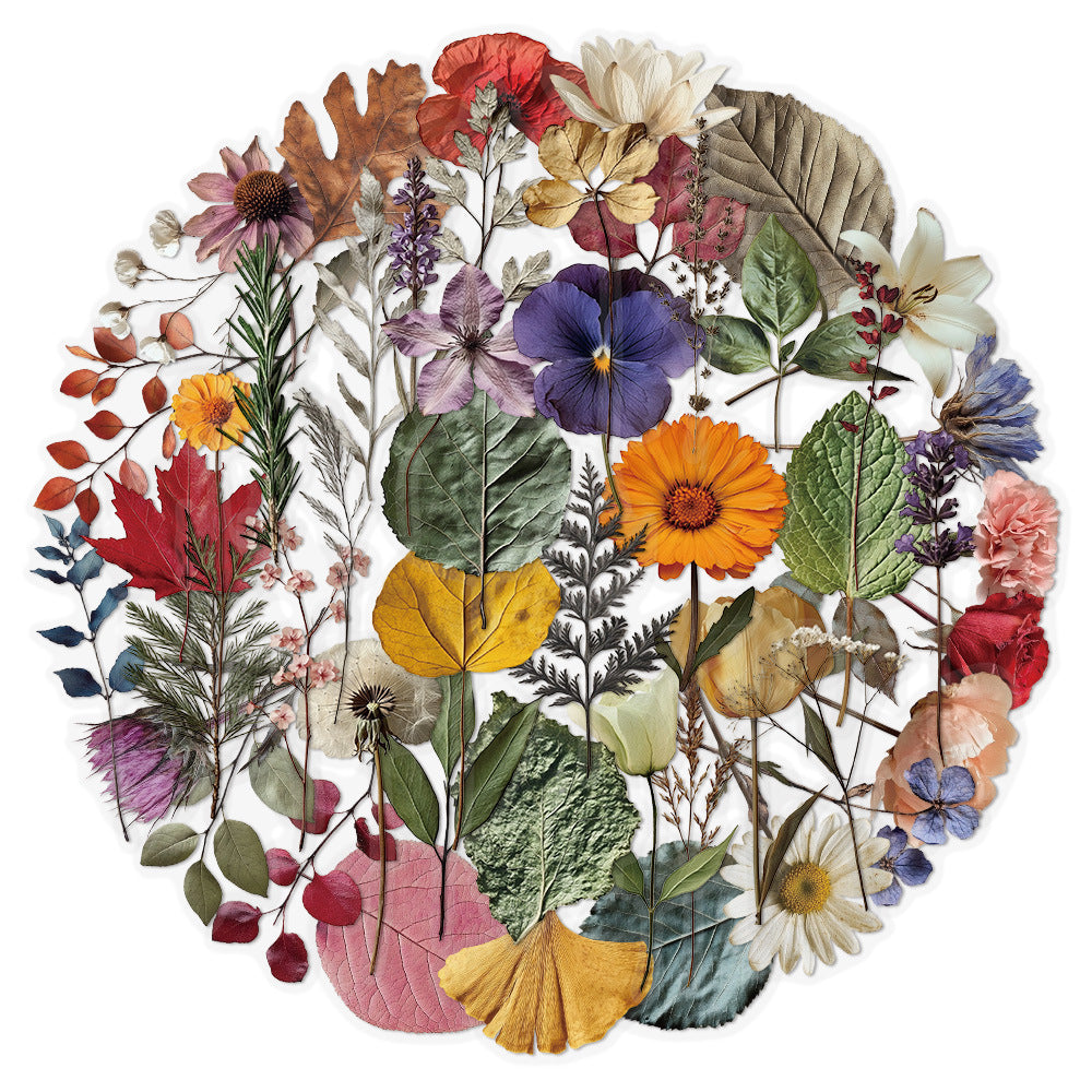 Wholesale 50pcs plant and flower waterproof vinyl stickers