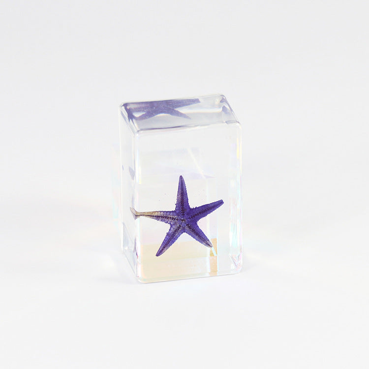 Wholesale 12pcs Epoxy Starfish Specimen Hot Sale Resin Crafts Ornaments