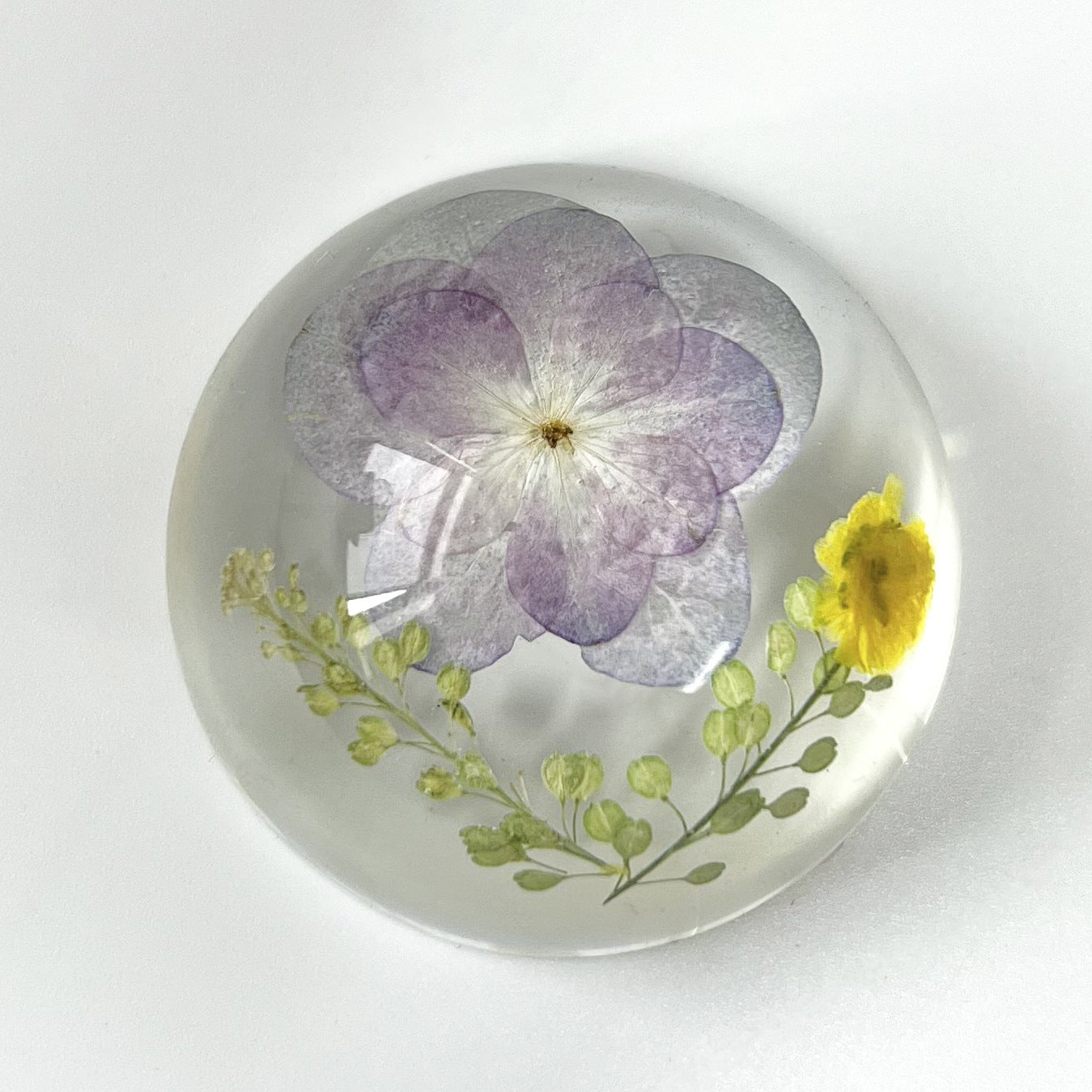 Wholesale 6pcs Creative 47mm Hemisphere Resin Crafts Embossed Ornaments