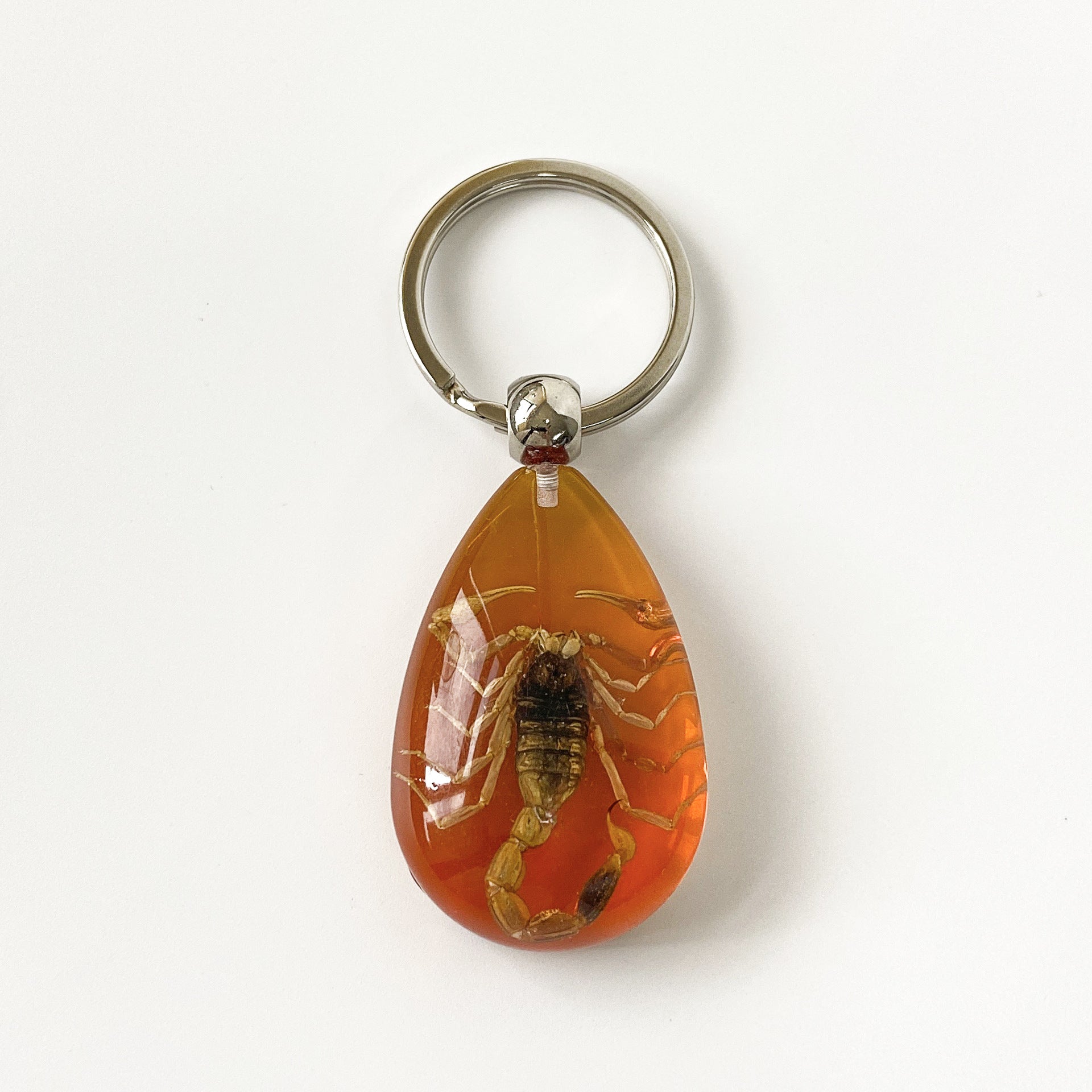 Wholesale 6pcs/pack Insect Specimen Amber Keychain