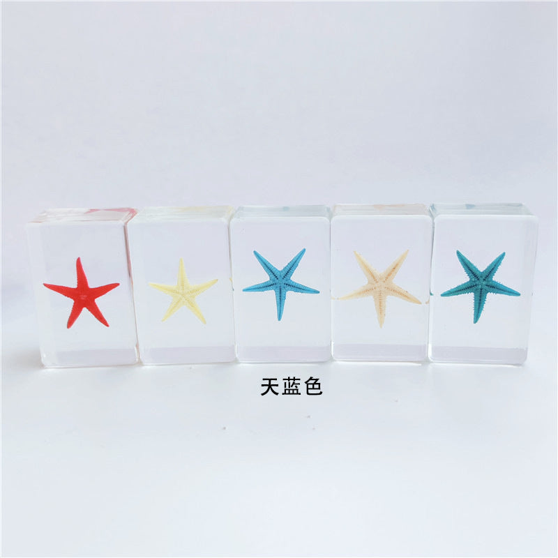 Wholesale 12pcs Epoxy Starfish Specimen Hot Sale Resin Crafts Ornaments