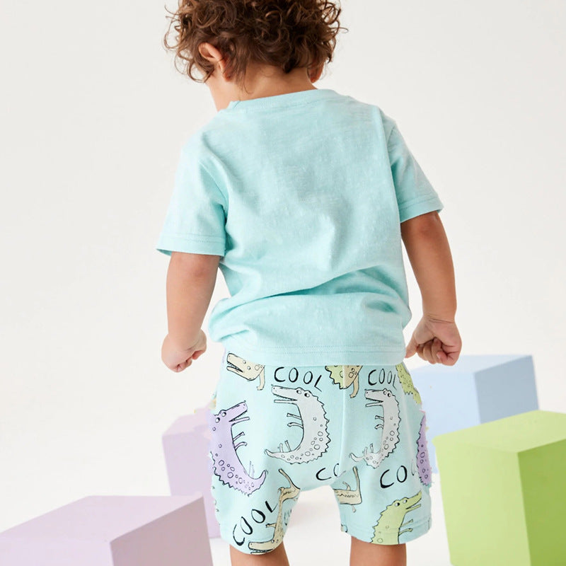 Wholesale Stylish Kids Dinosaur Print Short Sleeve Two Piece Set Knitted Cotton Summer Outfit For Boys