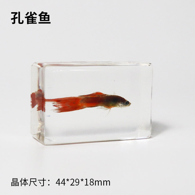 Wholesale Real Marine Fish Resin Specimen Ornaments