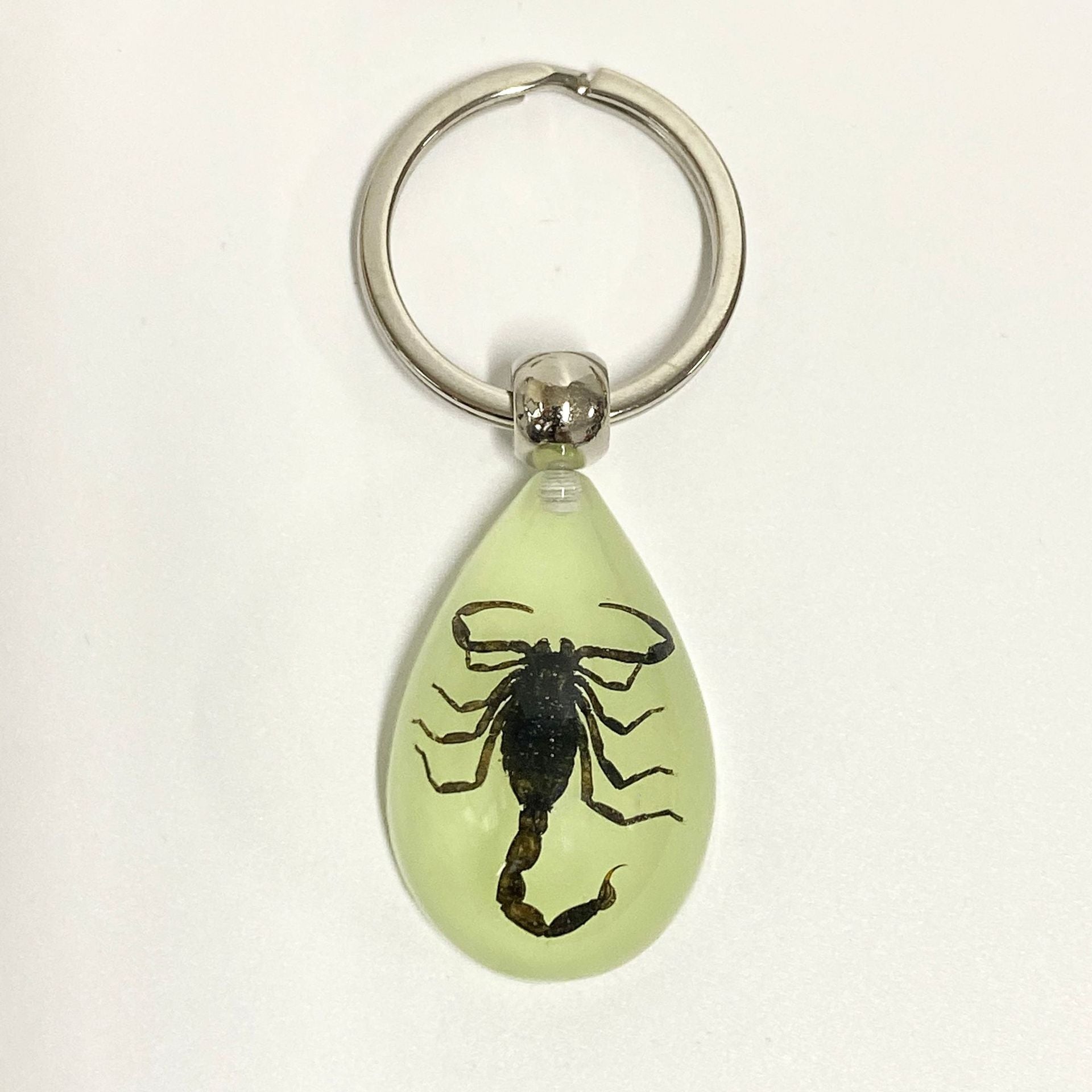 Wholesale 6pcs Luminous Insects Epoxy Resin Keychain