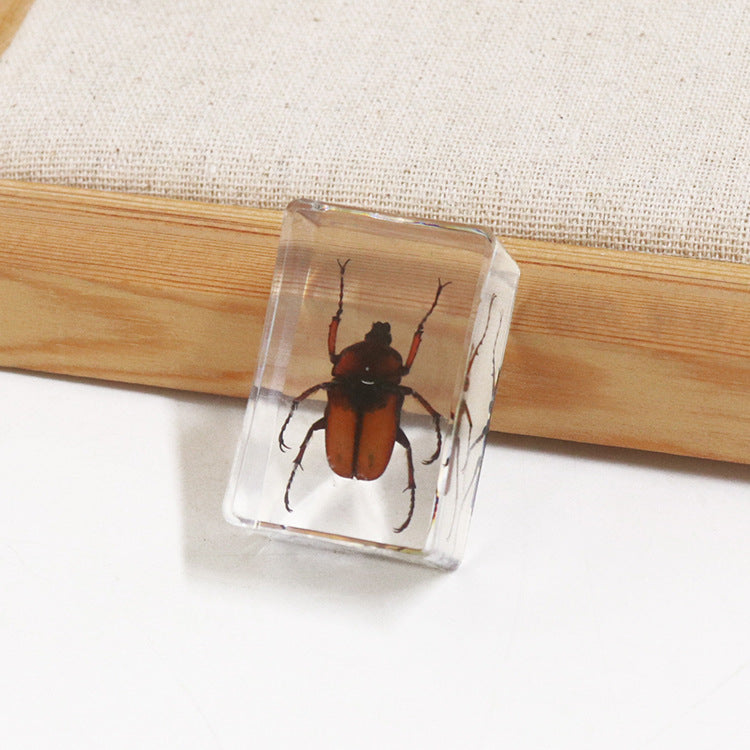 Wholesale 6pcs Handmade Glue Resin Insect Transparent Specimen Ornaments
