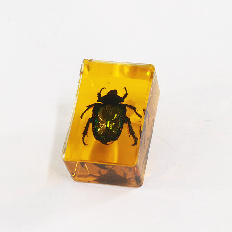 Wholesale 12pcs Real Insect Scorpion Resin HD Transparent Craft Ornaments