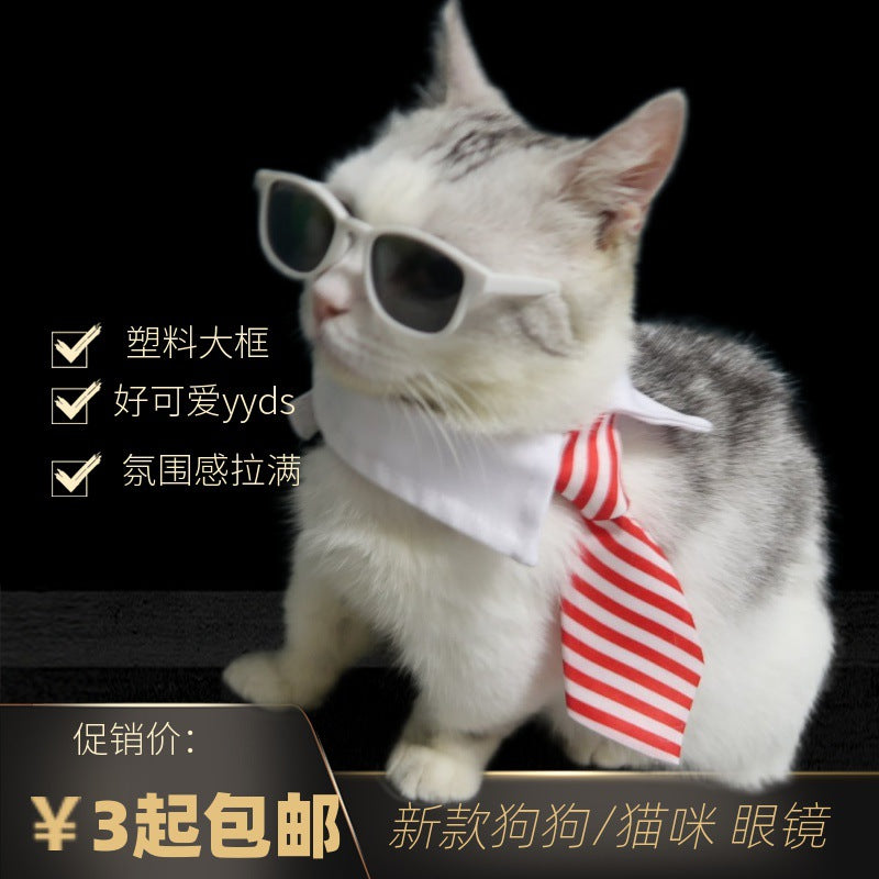 Wholesale Plastic 9.5cm Pet Dog Cat Large Frame Glasses