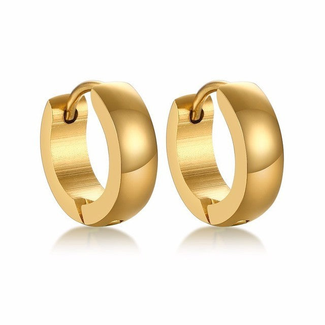 Wholesale Cambered Plating Titanium Steel Stainless Steel Earrings