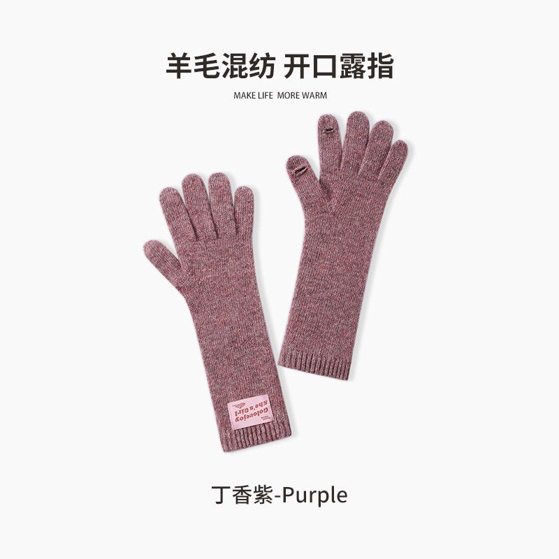 Wholesale Winter Warm Wool Touch Screen Knitted Thickened Gloves