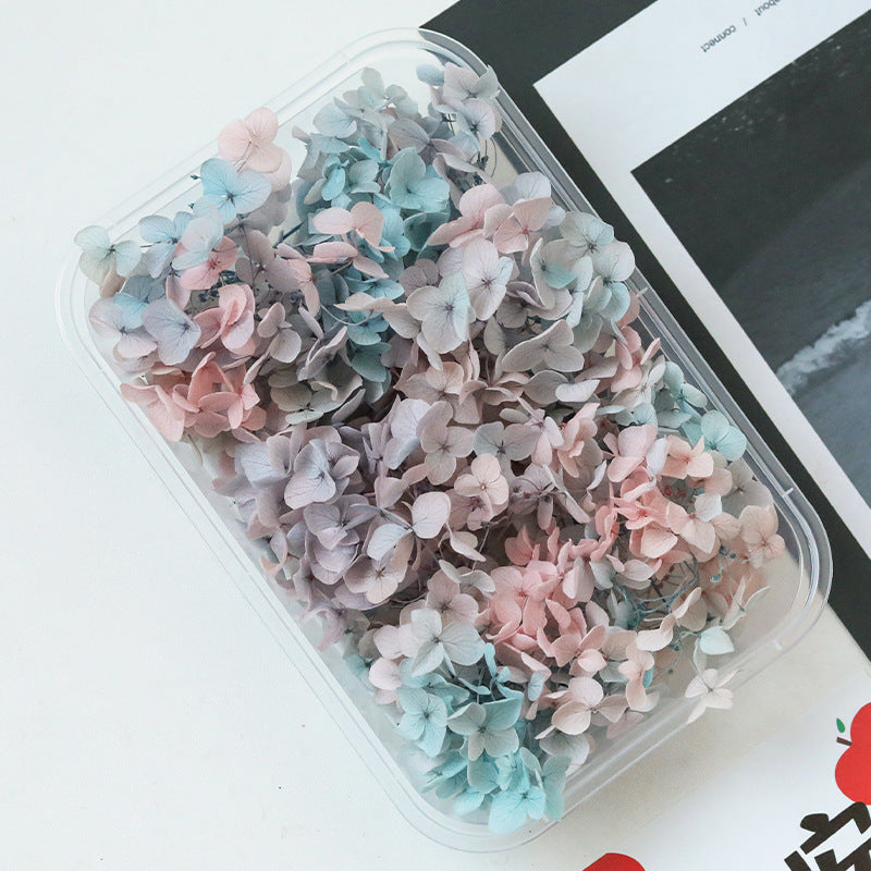 Wholesale Dried Flowers Immortal Flowers Hydrangea Gradient Color Handmade Diy Filling Materials