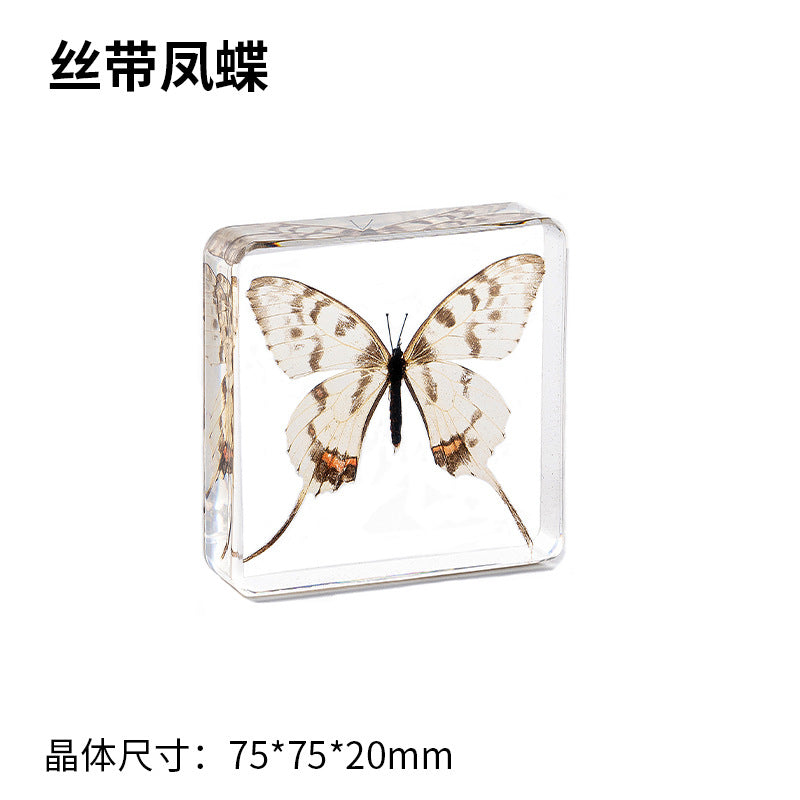 Wholesale Epoxy Butterfly Spreading Wings Resin Specimen