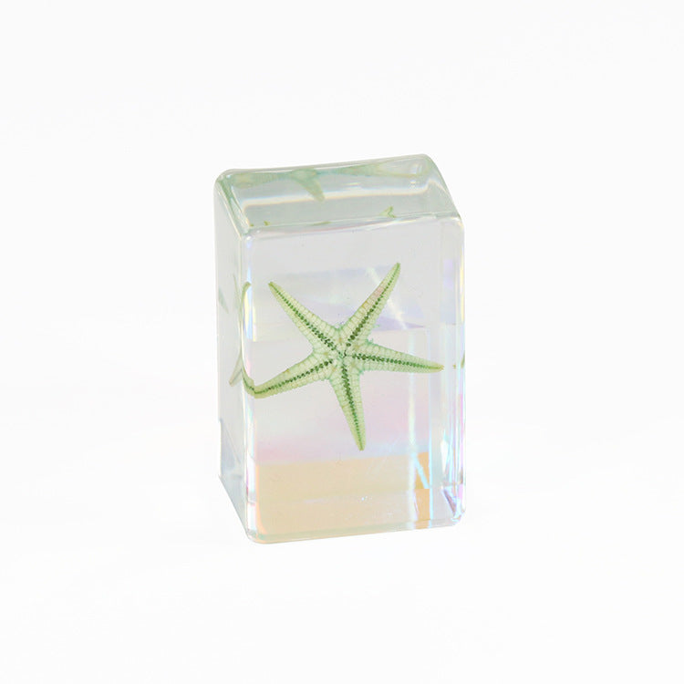 Wholesale 12pcs Epoxy Starfish Specimen Hot Sale Resin Crafts Ornaments