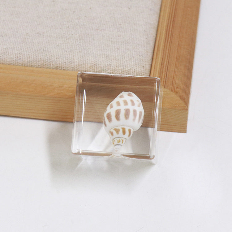 Wholesale 6pcs Ocean Cube Resin Crafts Ornaments