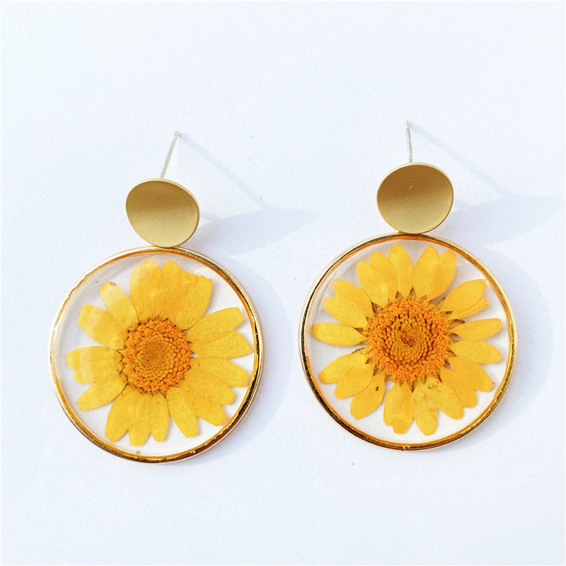 Wholesale 6pcs Temperament Versatile Transparent Dried Flower Daisy Earrings