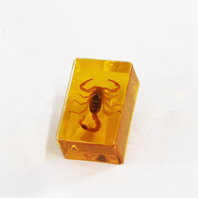 Wholesale 12pcs Real Insect Scorpion Resin HD Transparent Craft Ornaments