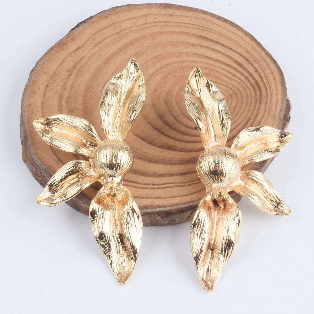 dxx-img:70f7035cdcce35c8e7657f0075c01eec