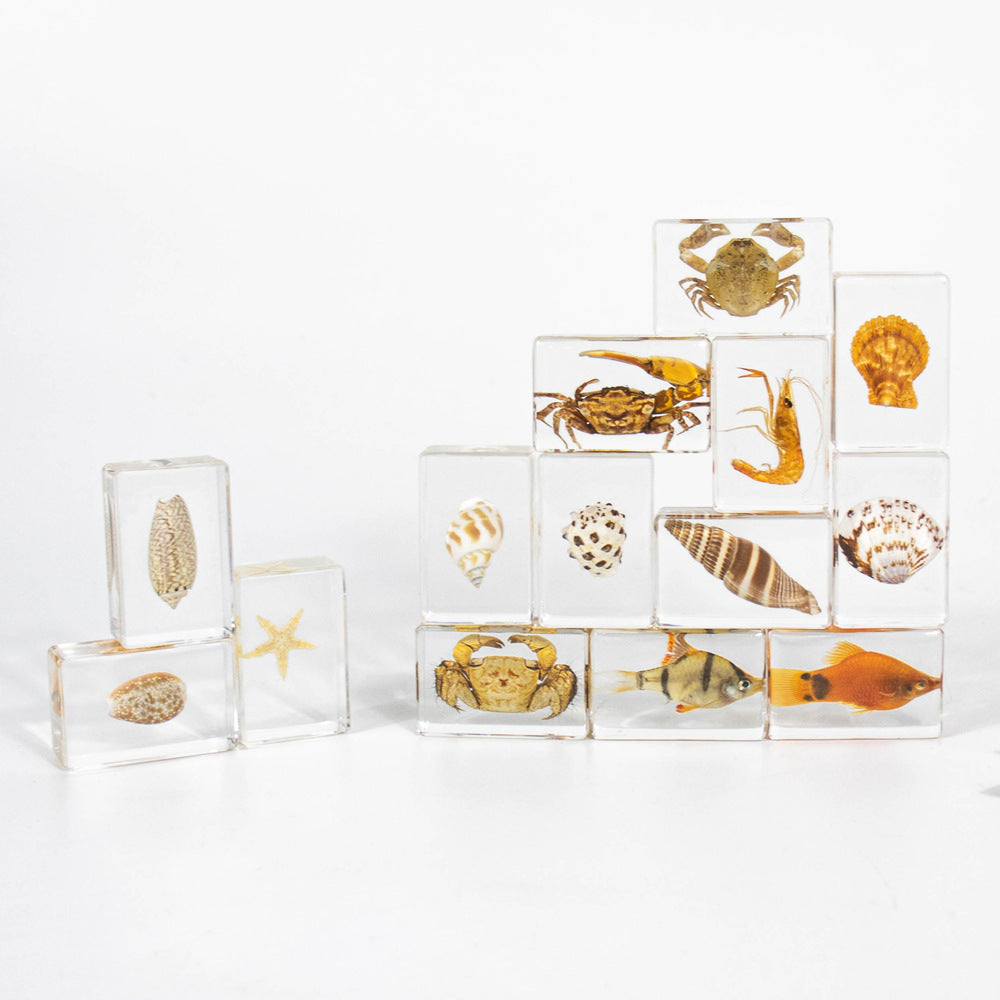 Wholesale Crystal Glue Real Insect Specimen Ornaments