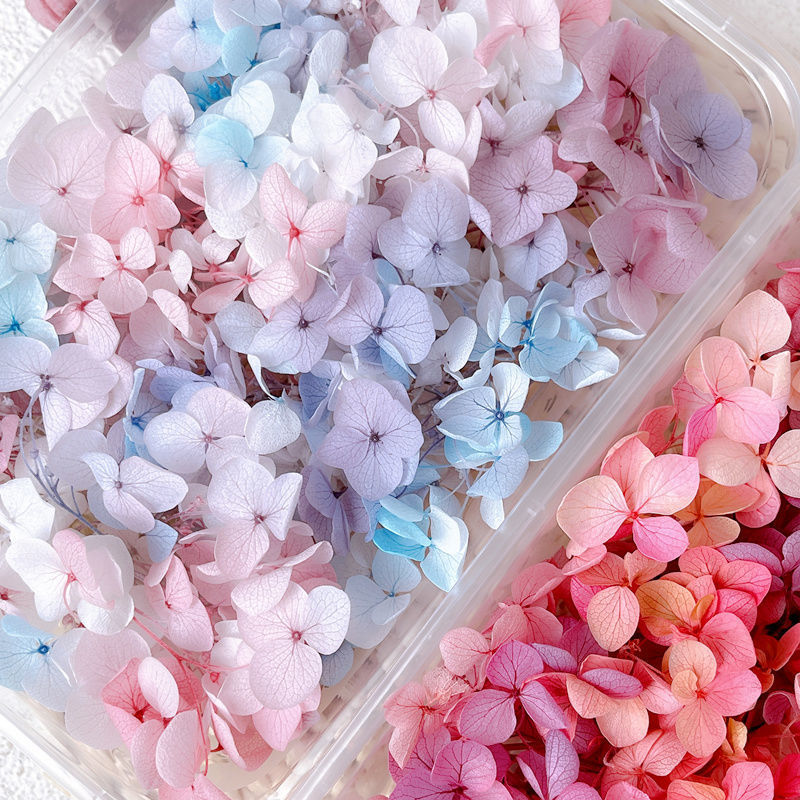 Wholesale Dried Flowers Immortal Flowers Hydrangea Gradient Color Handmade Diy Filling Materials