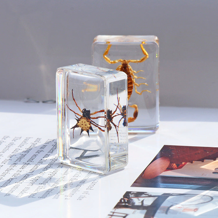 Wholesale 6pcs Small Insect Specimens Real Insect Resin Drip Glue Ornaments