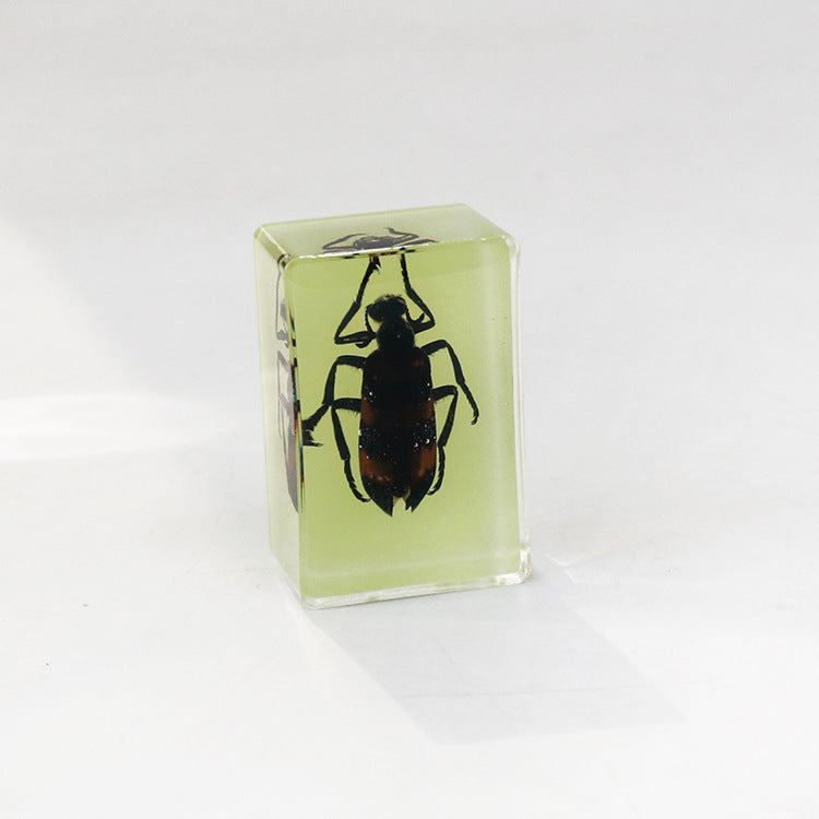 Wholesale 12pcs Luminous Real Insect Scorpion Desktop Resin Ornaments