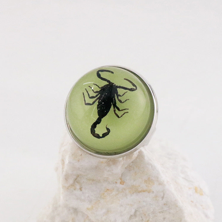 Wholesale 12pcs Luminous Fashion Real Insect Scorpion Resin Rings
