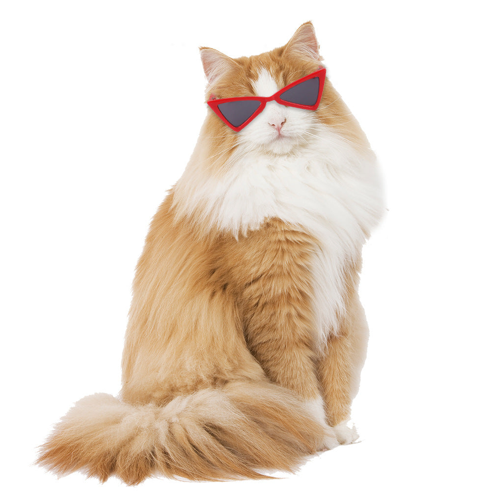 Wholesale Plastic Pet Glasses
