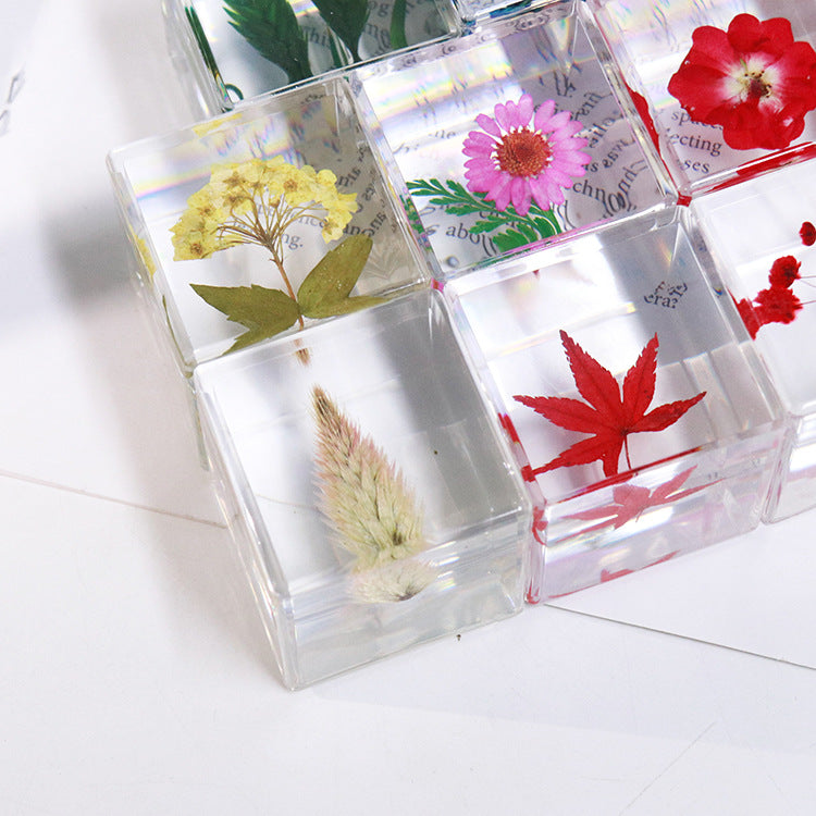 Wholesale 6pcs Cube Real Dried Flower Desktop Crafts Ornaments