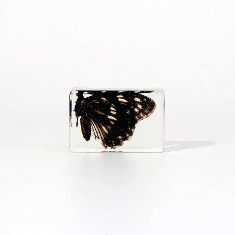 Wholesale Handmade Dripping Resin Insect Transparent Animal Specimen Ornaments