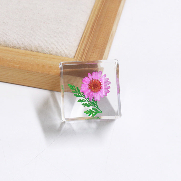 Wholesale 6pcs Cube Real Dried Flower Desktop Crafts Ornaments