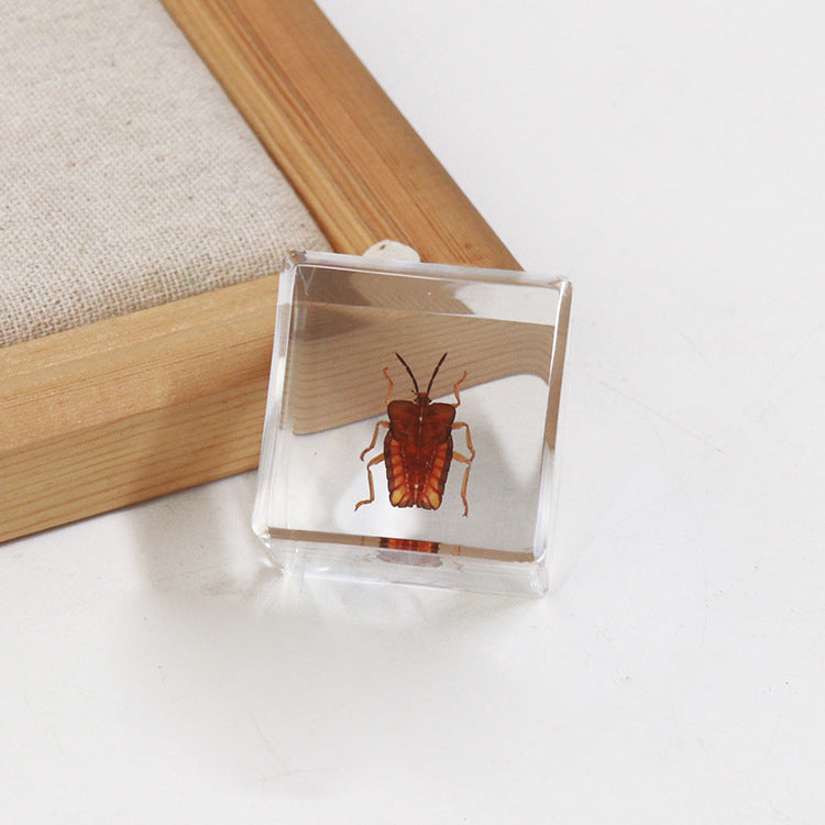 Wholesale 6pcs 4cm Cube Insect Resin HD Transparent Resin Ornaments