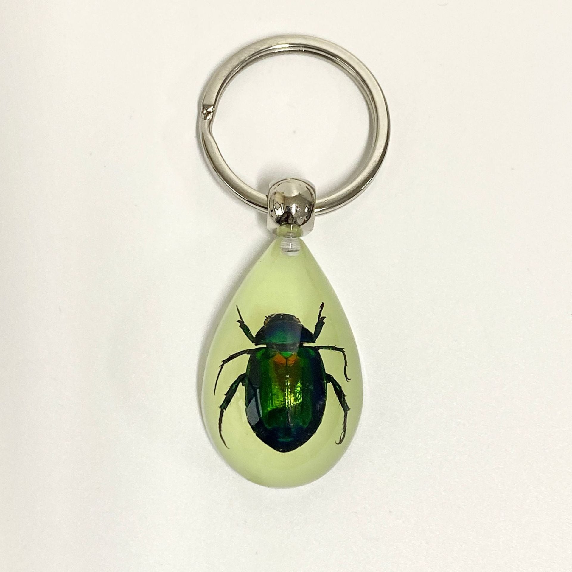 Wholesale 6pcs Real Insect Glue Resin Specimen Keychain