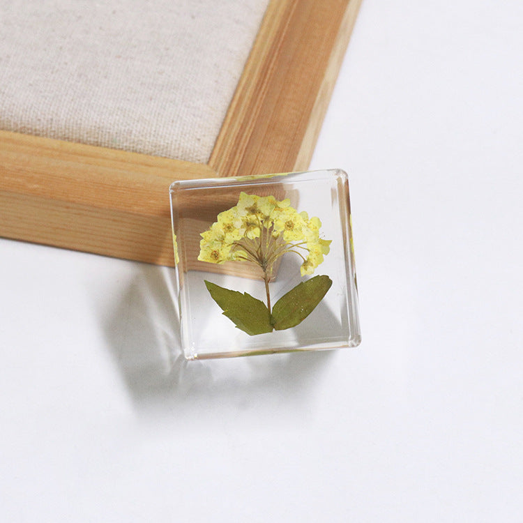 Wholesale 6pcs Cube Real Dried Flower Desktop Crafts Ornaments