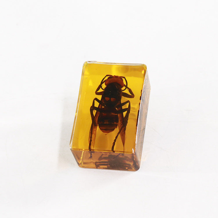 Wholesale 12pcs Real Insect Scorpion Resin HD Transparent Craft Ornaments