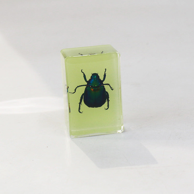 Wholesale 12pcs Luminous Real Insect Scorpion Desktop Resin Ornaments