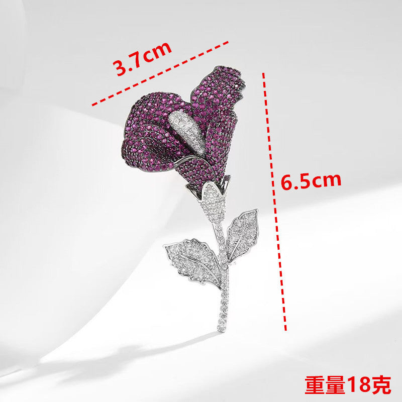 dxx-img:19f21bbd8b0289049a403053a188f1ba