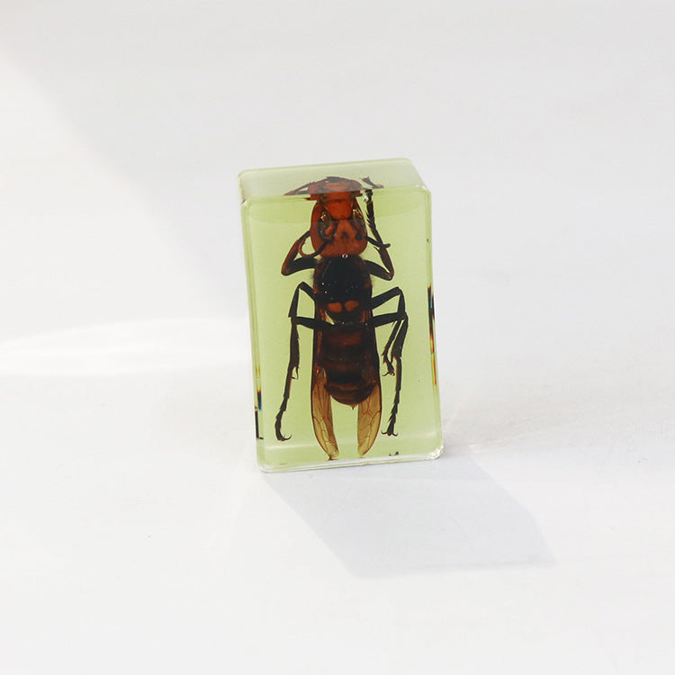 Wholesale 12pcs Luminous Real Insect Scorpion Desktop Resin Ornaments