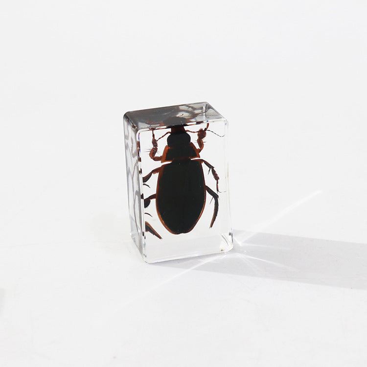 Wholesale Handmade Dripping Resin Insect Transparent Animal Specimen Ornaments