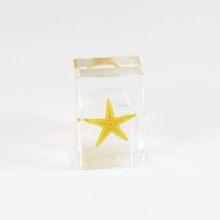 Wholesale 12pcs Epoxy Starfish Specimen Hot Sale Resin Crafts Ornaments