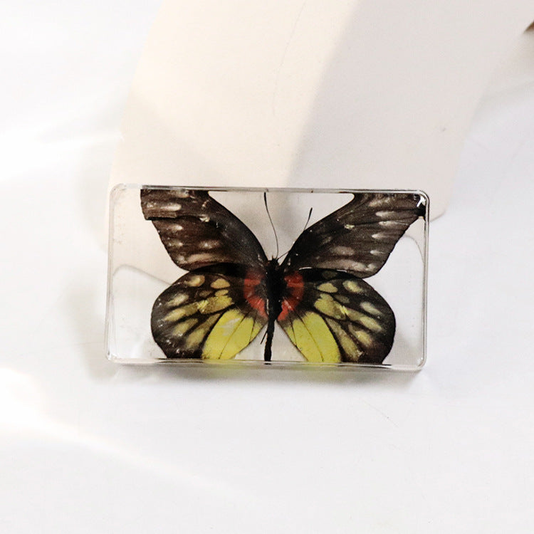 Wholesale 6pcs Real Butterfly with Wings Spread 3D Crafts Ornaments