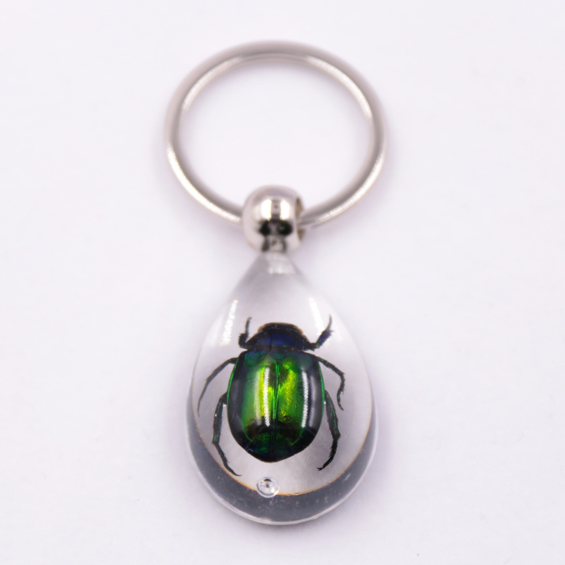Wholesale 6pcs Resin Insect Specimen Transparent Glue Keychain