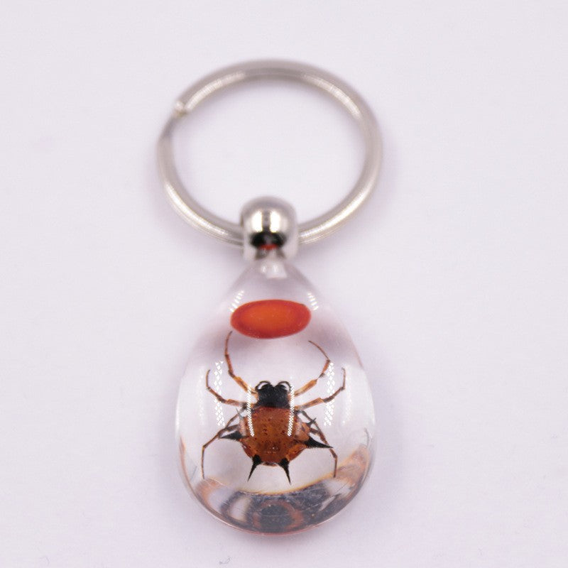 Wholesale 6pcs Resin Insect Specimen Transparent Glue Keychain