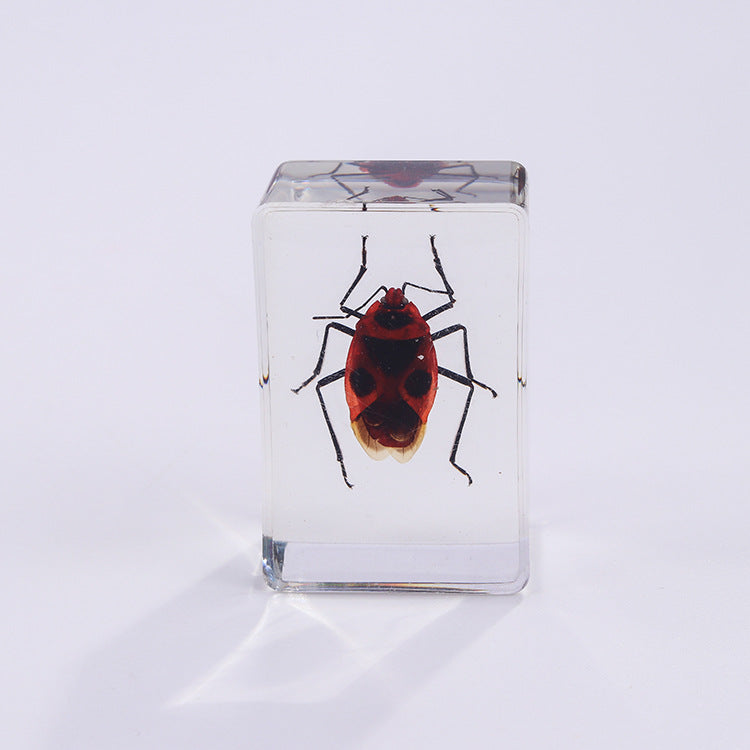 Wholesale 6pcs Handmade Glue Resin Insect Transparent Specimen Ornaments