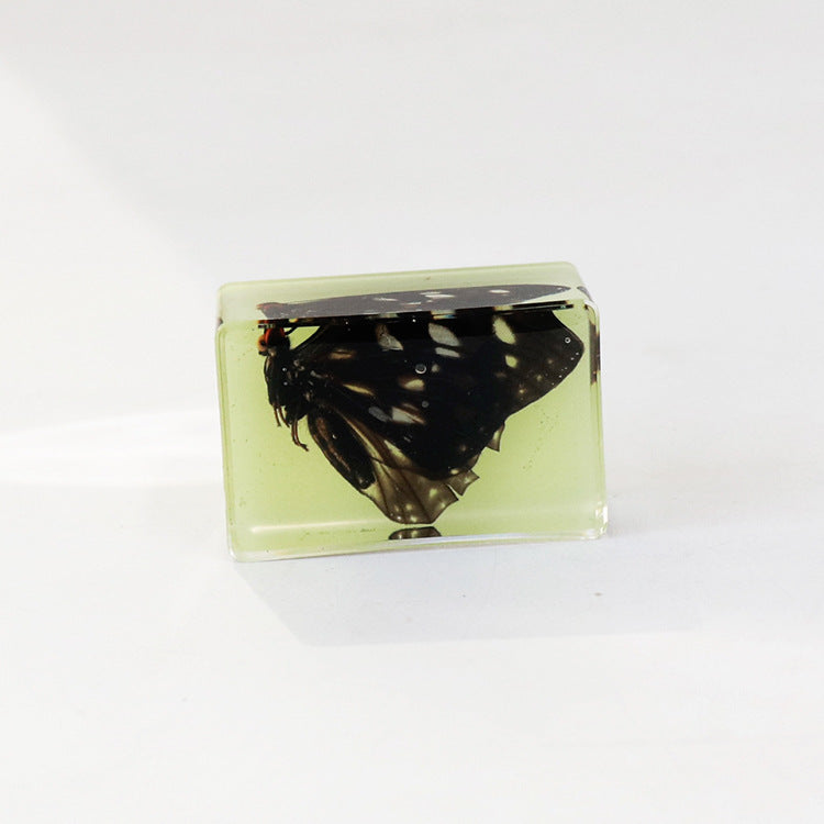 Wholesale 12pcs Luminous Real Insect Scorpion Desktop Resin Ornaments