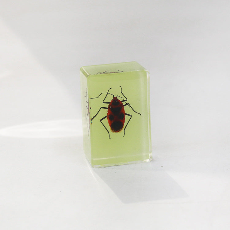 Wholesale 12pcs Luminous Real Insect Scorpion Desktop Resin Ornaments