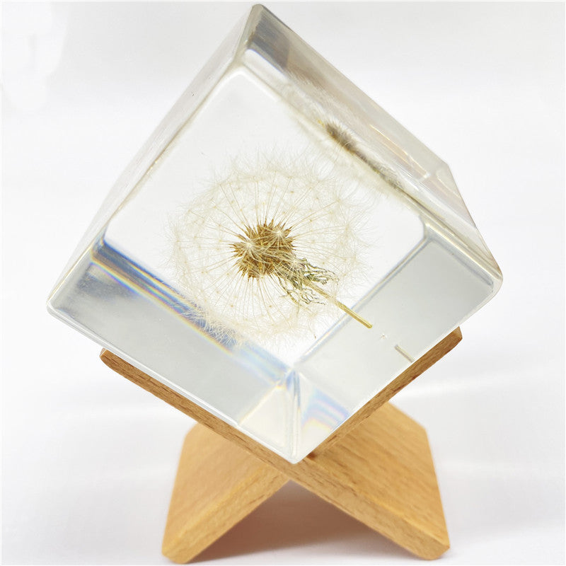 Wholesale 6pcs Resin Crafts High Transparent Square Dandelion Dried Flower Ornaments